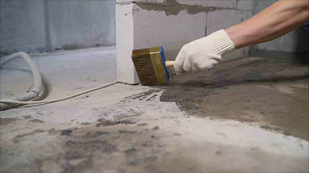 Top rated local Crawl Space Encapsulation specialists in Woodbridge, NJ